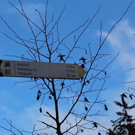 Pension Entersburg Bad Bertrich Bagian luar foto