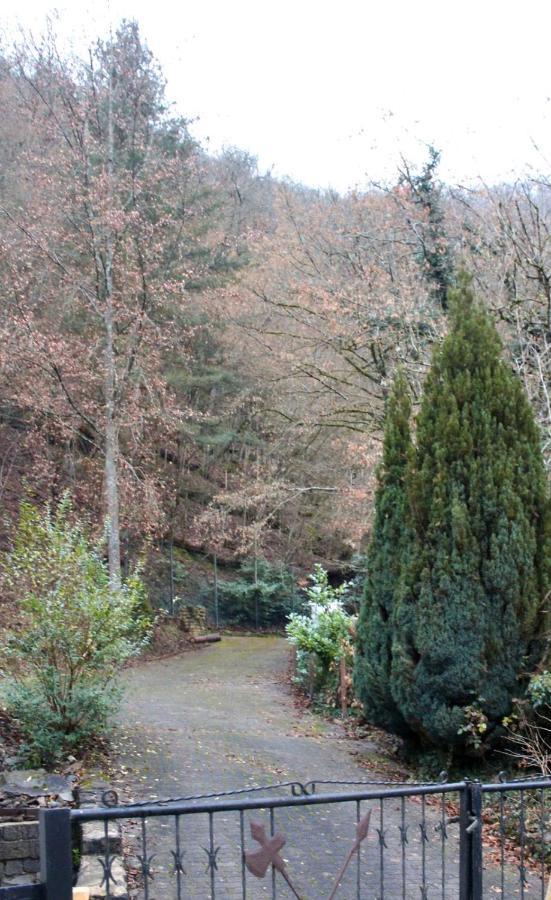 Pension Entersburg Bad Bertrich Bagian luar foto